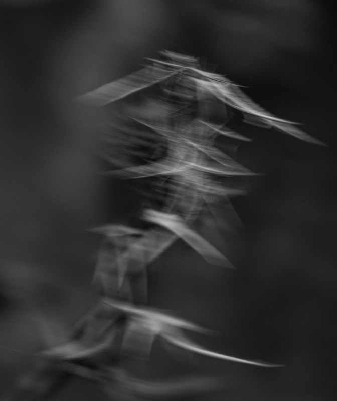 03 jsbksahjn