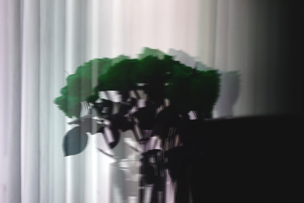 03 8blnef