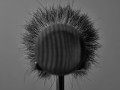 01 hnuope