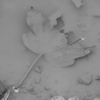 Wasser (01/2025)